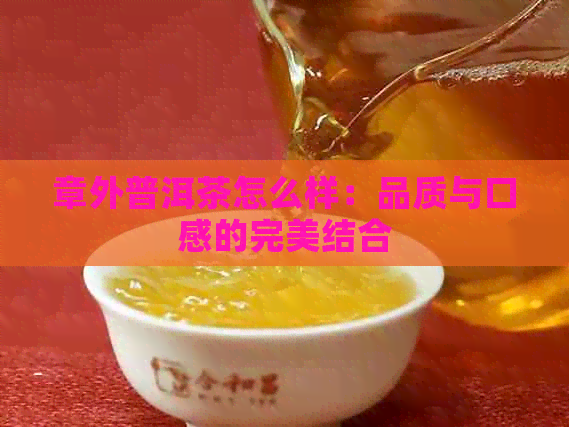 章外普洱茶怎么样：品质与口感的完美结合