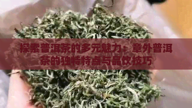 探索普洱茶的多元魅力：章外普洱茶的独特特点与品饮技巧