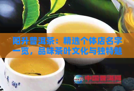 阳升普洱茶：精选个体店名字一览，品味茶叶文化与独特魅力