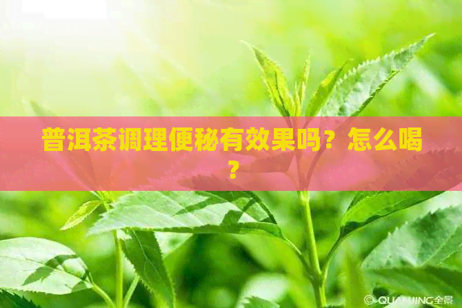 普洱茶调理便秘有效果吗？怎么喝？