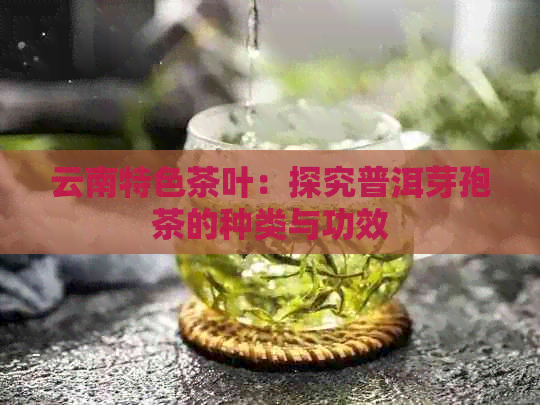 云南特色茶叶：探究普洱芽孢茶的种类与功效