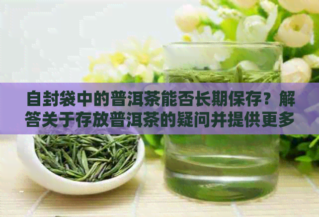 自封袋中的普洱茶能否长期保存？解答关于存放普洱茶的疑问并提供更多建议