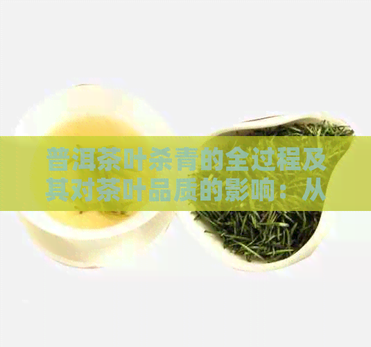 普洱茶叶杀青的全过程及其对茶叶品质的影响：从采摘到制作的全面解析