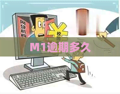 M1逾期多久