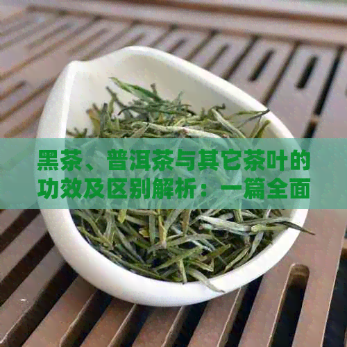 黑茶、普洱茶与其它茶叶的功效及区别解析：一篇全面指南