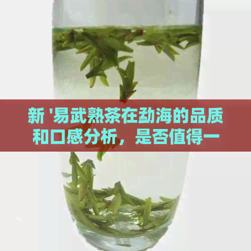 新 '易武熟茶在勐海的品质和口感分析，是否值得一试？'