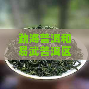 勐海普洱和易武普洱区别：勐海茶与易武茶的异同，价格对比及熟茶优劣分析