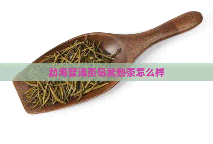 勐海普洱茶易武熟茶怎么样