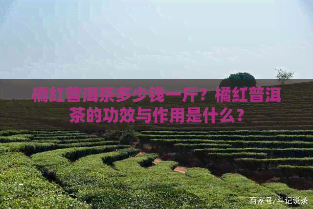 橘红普洱茶多少钱一斤？橘红普洱茶的功效与作用是什么？