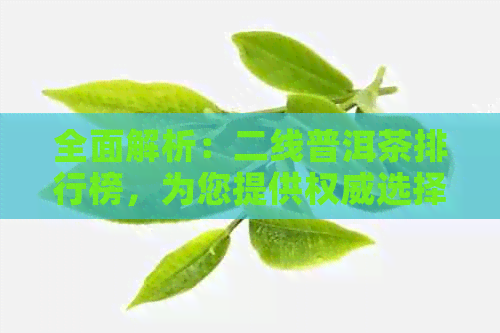 全面解析：二线普洱茶排行榜，为您提供权威选择指南