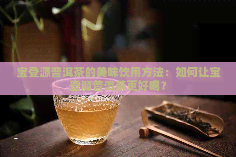 宝登源普洱茶的美味饮用方法：如何让宝登源普洱茶更好喝？