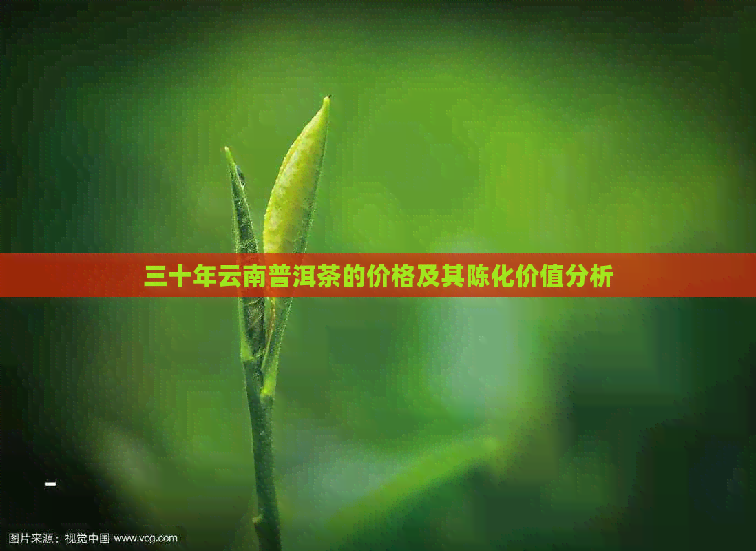 三十年云南普洱茶的价格及其陈化价值分析