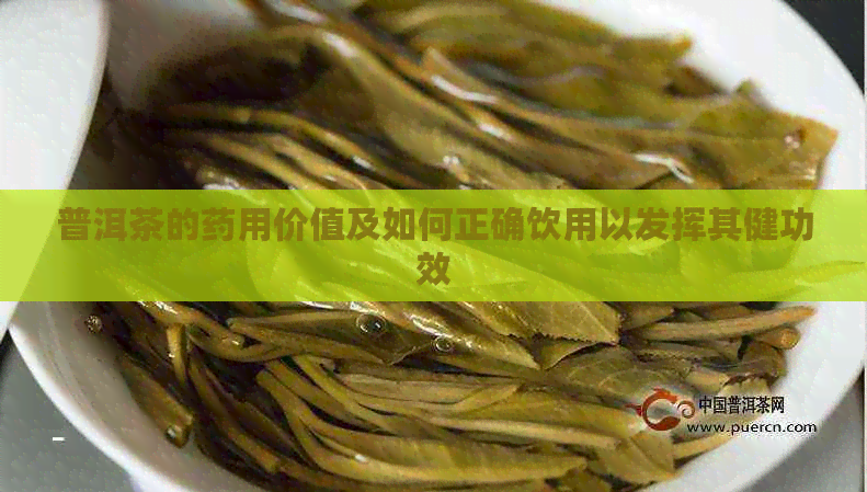 普洱茶的药用价值及如何正确饮用以发挥其健功效