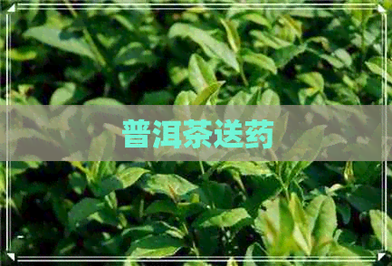 普洱茶送药