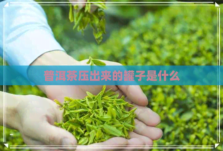 普洱茶压出来的罐子是什么