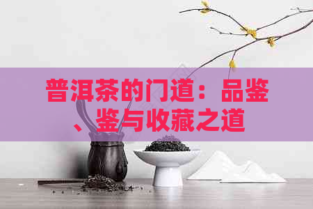 普洱茶的门道：品鉴、鉴与收藏之道