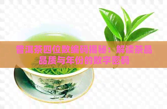 普洱茶四位数编码揭秘：解读茶品品质与年份的数字密码