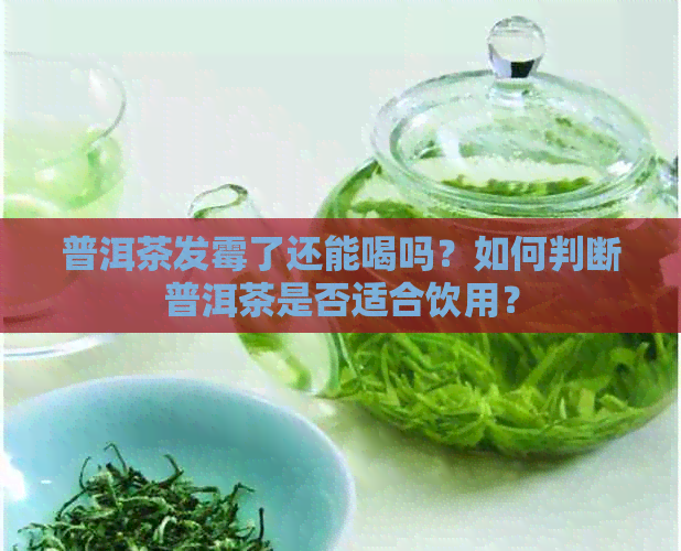 普洱茶发霉了还能喝吗？如何判断普洱茶是否适合饮用？