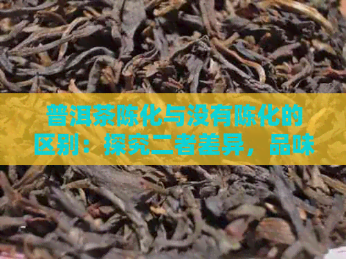 普洱茶陈化与没有陈化的区别：探究二者差异，品味时光沉淀之美。