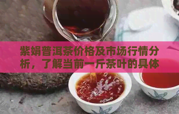 紫娟普洱茶价格及市场行情分析，了解当前一斤茶叶的具体售价