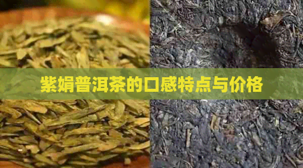 紫娟普洱茶的口感特点与价格