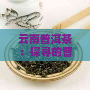 云南普洱茶：探寻的普洱茶种类和市场领导者