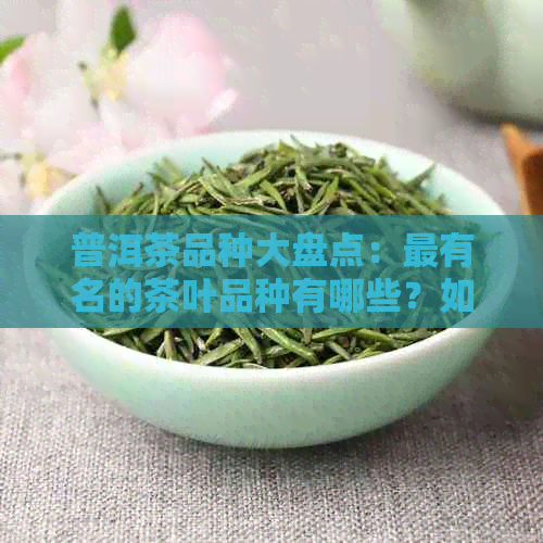 普洱茶品种大盘点：最有名的茶叶品种有哪些？如何鉴别和品鉴？