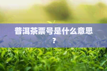 普洱茶票号是什么意思？