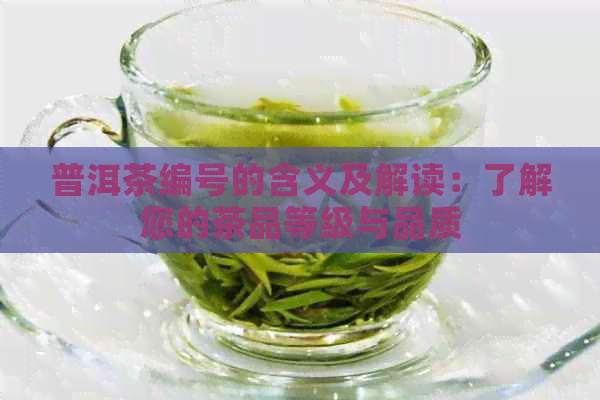 普洱茶编号的含义及解读：了解您的茶品等级与品质