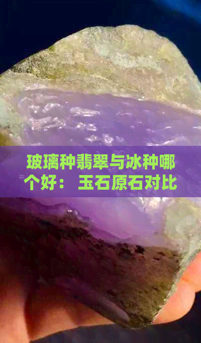 玻璃种翡翠与冰种哪个好： 玉石原石对比分析