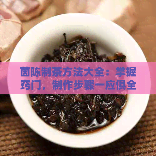 茵陈制茶方法大全：掌握窍门，制作步骤一应俱全