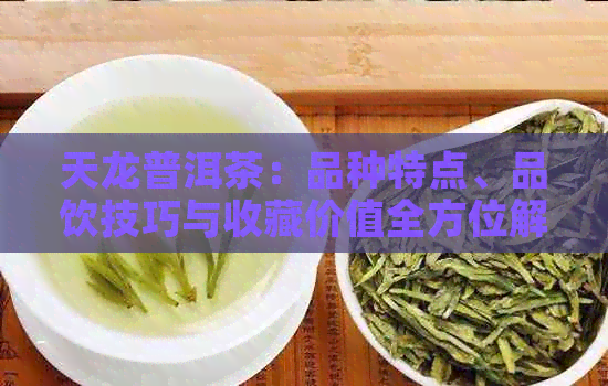 天龙普洱茶：品种特点、品饮技巧与收藏价值全方位解析