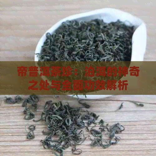 帝普洱茶珍：泊洱的神奇之处与全面功效解析