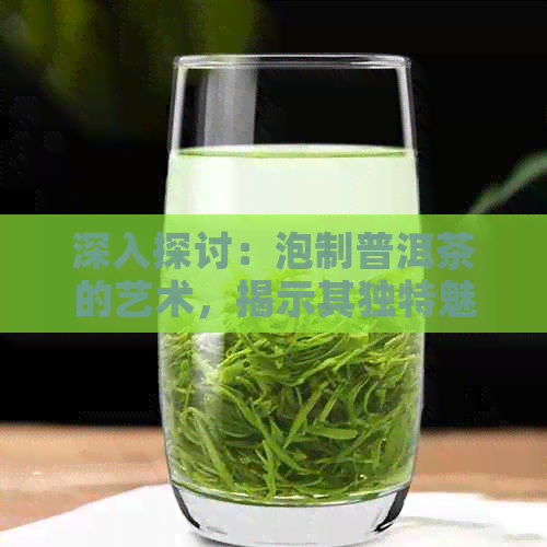 深入探讨：泡制普洱茶的艺术，揭示其独特魅力与潜在风险