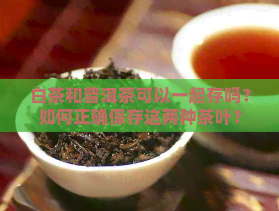 白茶和普洱茶可以一起存吗？如何正确保存这两种茶叶？