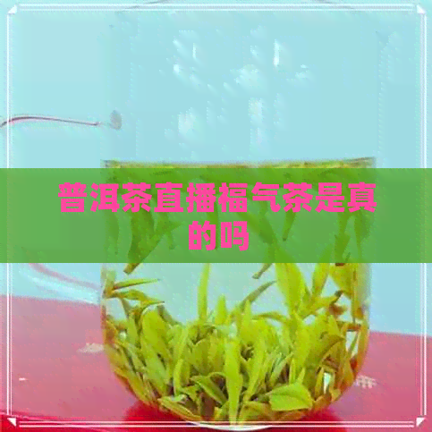 普洱茶直播福气茶是真的吗