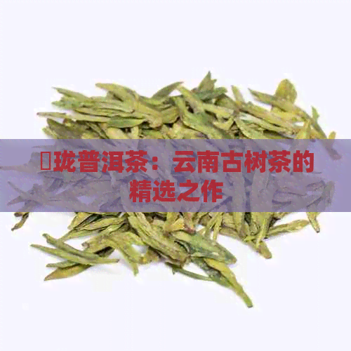 璟珑普洱茶：云南古树茶的精选之作