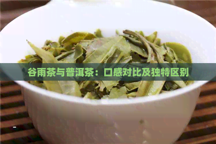 谷雨茶与普洱茶：口感对比及独特区别