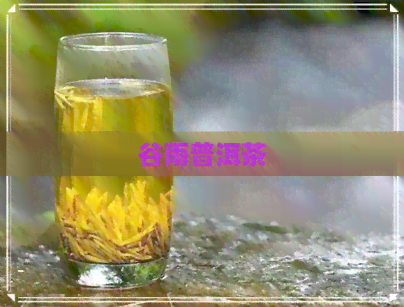 谷雨普洱茶