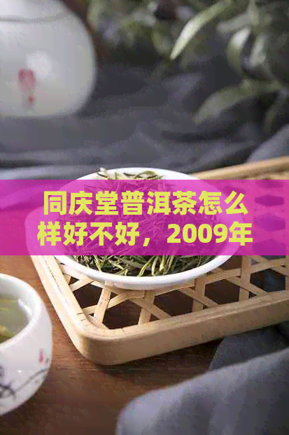 同庆堂普洱茶怎么样好不好，2009年同庆堂官网茶饼评价