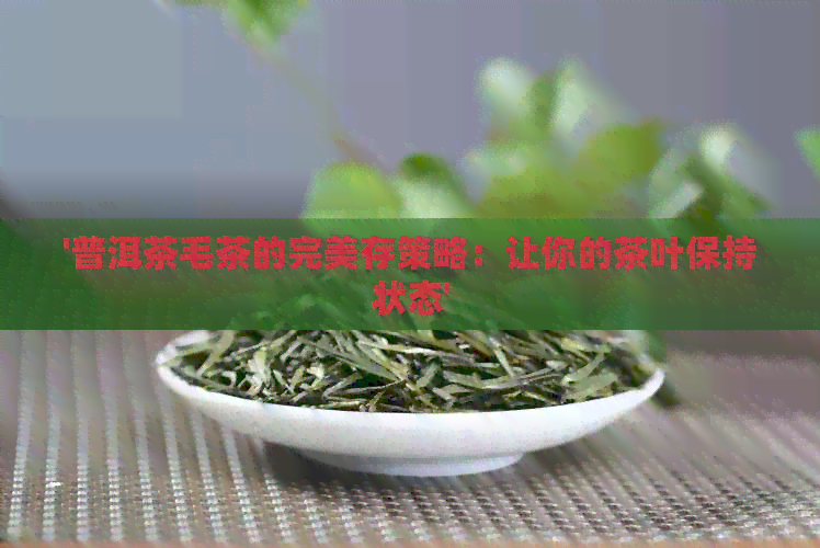 '普洱茶毛茶的完美存策略：让你的茶叶保持状态'