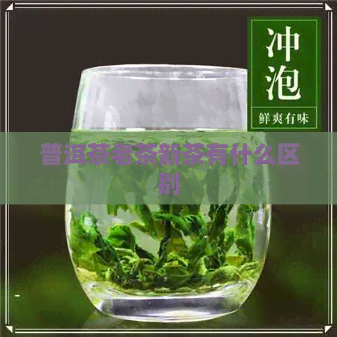 普洱茶老茶新茶有什么区别