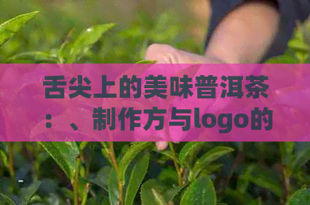 舌尖上的美味普洱茶：、制作方与logo的探索