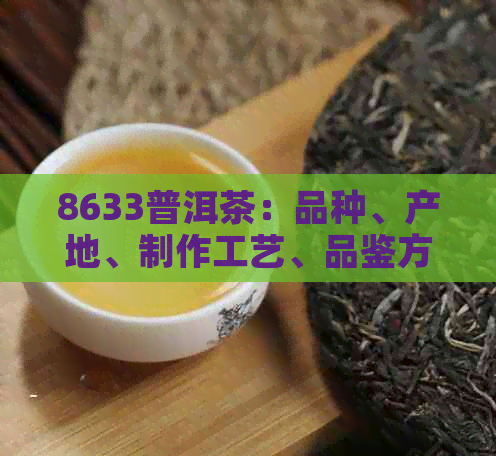 8633普洱茶：品种、产地、制作工艺、品鉴方法和功效详解