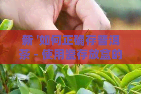 新 '如何正确存普洱茶 - 使用瓷存放盒的技巧'