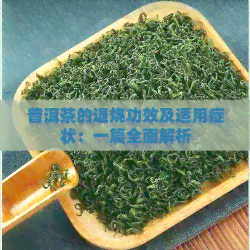 普洱茶的退烧功效及适用症状：一篇全面解析