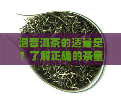 泡普洱茶的适量是？了解正确的茶量，让品茗更得心应手