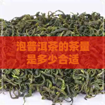 泡普洱茶的茶量是多少合适