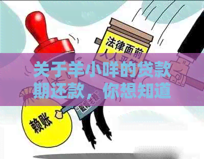 关于羊小咩的贷款期还款，你想知道的一切