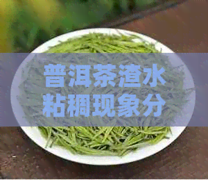 普洱茶渣水粘稠现象分析：正常还是品质问题？为什么？